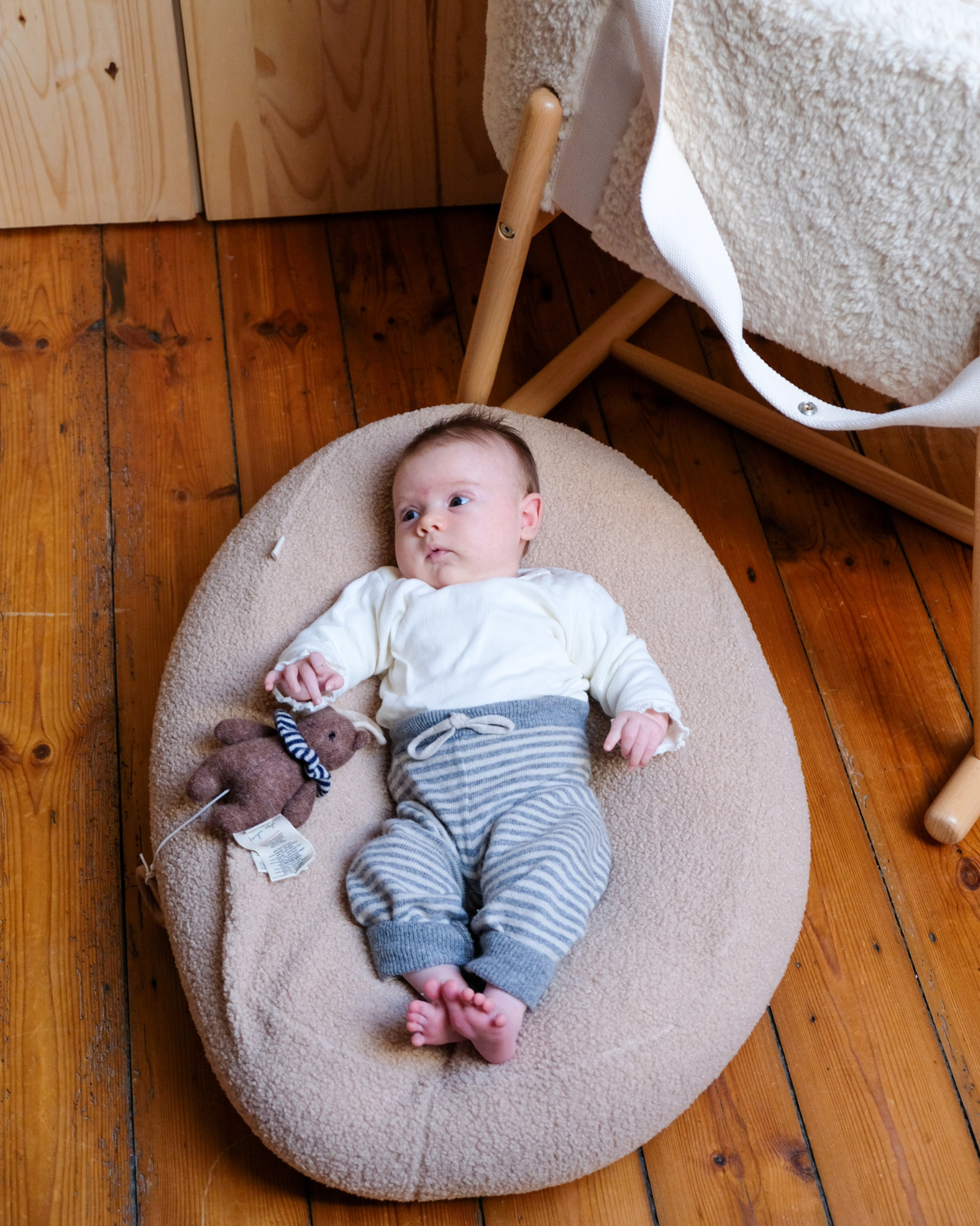 2-in-1 Nursing Pillow Cover and Storage Bag – Soft Adaptable Feeding Pillow for Baby, Portable and Machine Washable 4